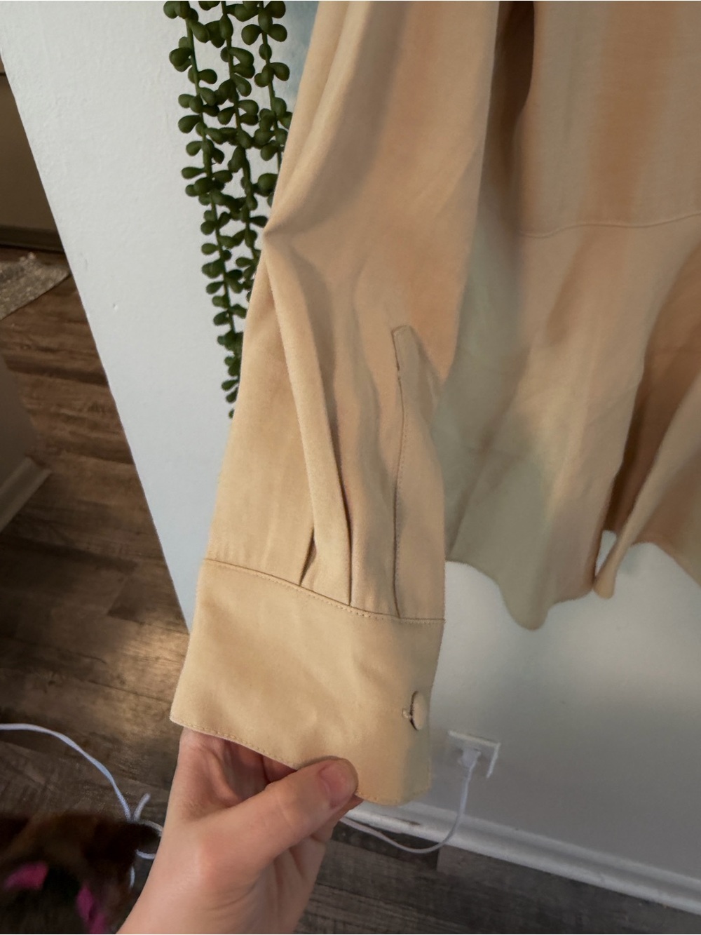 Tuckernuck Pomander Place Tan Ashlan Peplum Blouse M - Picture 7 of 7